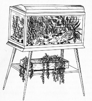 Аквариум установлен на деревянном столе